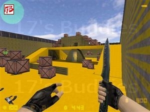 gg_bliv (Counter-Strike)