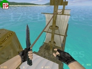 hnsro_pirates (Counter-Strike)