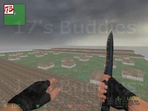 Screen uploaded  06-12-2008 by 17Buddies