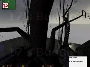 Download gg_vat_paint_ball_forest