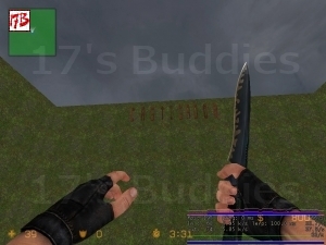 Screen uploaded  05-02-2011 by 17Buddies