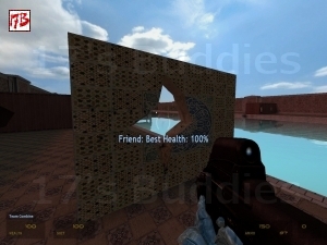 ins_pool_party (Insurgency)