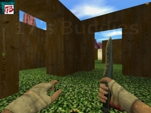 f6_labirint_grass (Counter-Strike)