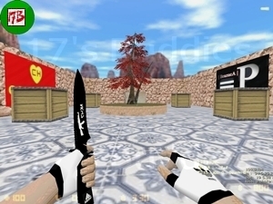 aim_faca_cp (Counter-Strike)