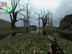 CS_SWAMP1