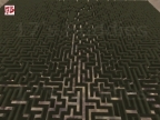MAX_MAZE