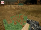 AIM_BATTLE_ON_GRASS