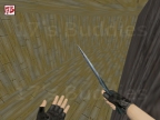 ZM_SURVIED
