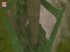 JRO_CLIMBMANIA