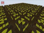 JRO_RUN_MAZE