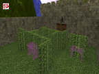 GG_CASTLE_SWEET_GARDEN