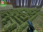 FY_HEDGEMAZE