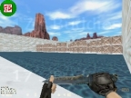 WINTER_DEAGLE
