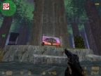 KZ_5TREES