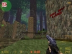 KZRU_FORESTCLIMB