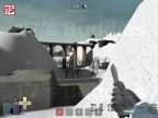 CP_SNOWBRIDGE_THALLUS_2