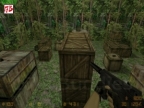 AIM_TMP_JUNGLE