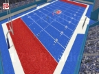 FM_BLUETURF