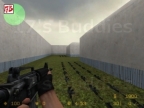 AIM_AK-COLT_CSS