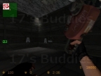 CS_BULLDOG1_UV