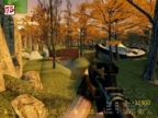 CS_LITTLE_FOREST