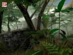 DE_JUNGLE_BETA_V2