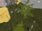DE_WATERTURTLE