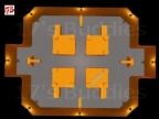 FY_ORANGEWORLDZ