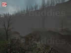 FY_FOREST_ZB2