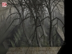 FY_INTHEWOODSV2
