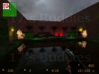 FY_PALMS_FABI