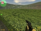 DE_LABYRINTH