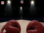 TDM_BOXING