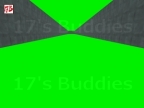FL_GREEN_SCREEN