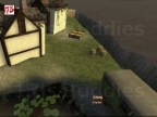 FY_FALQUIST