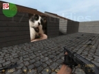 FY_CATWORLD