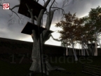 FY_FOREST_ADI