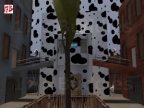 CP_COWNATION_B3