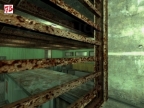AIM_OPPOSITE