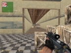 AIM_BRAMMER