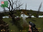 AIM_WOODY
