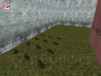 AIM_AK-COLT_WOWZORZ_V1