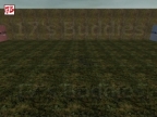 AIM_T-CT