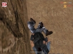 AIM_TINY
