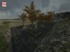 GLASS_FORESTBETA3