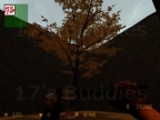 BREAK_AWPTREE_V1
