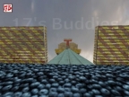 DUELBRIDGE
