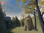 GG_TREVFOREST