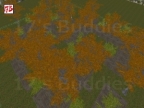 TREEHOUSE_MADNESS
