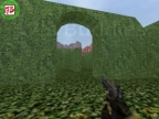 FY_HEDGE_MAZE